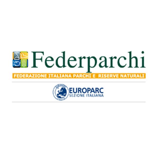 Federparchi