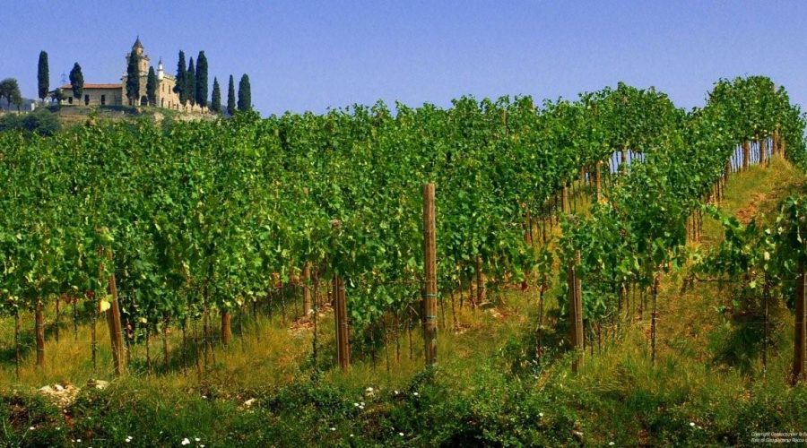 Franciacorta_vigneto-con-Santissima-di-Gussago